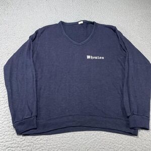 Vintage Champion Sweater Mens Medium Blue Wheaton V Neck Knit Pullover USA 80s